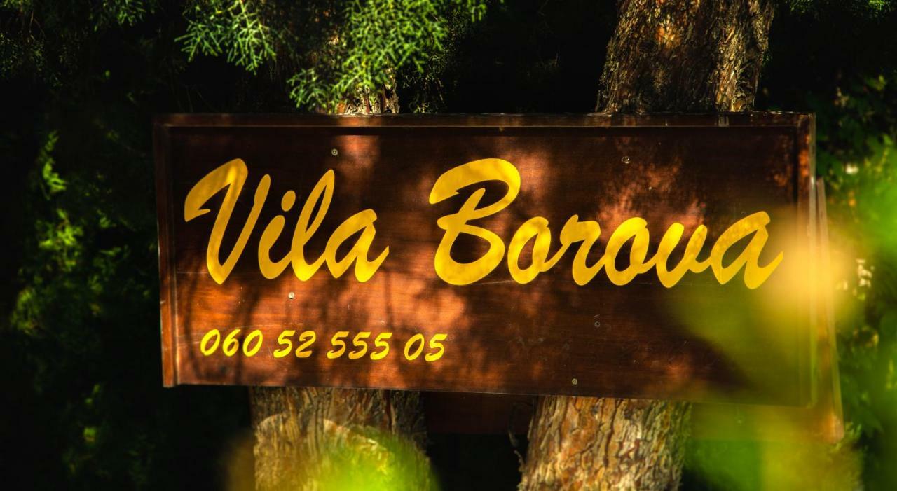 Apartmani Borova 2 Veliko Gradište Exteriör bild